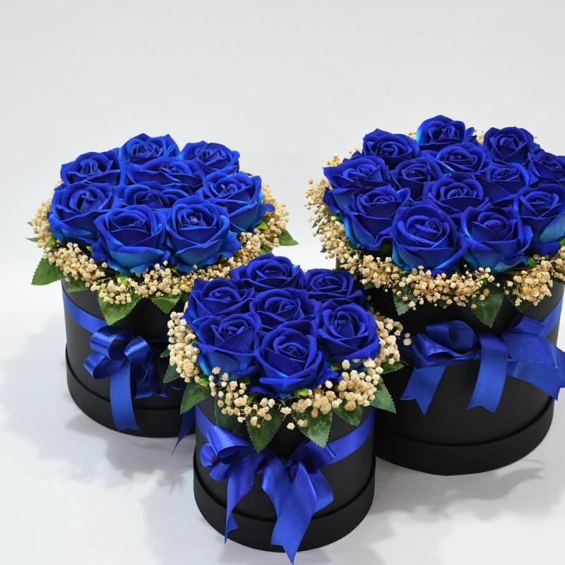 Mavi Kutu Gül (Ufak - Orta - Büyük)